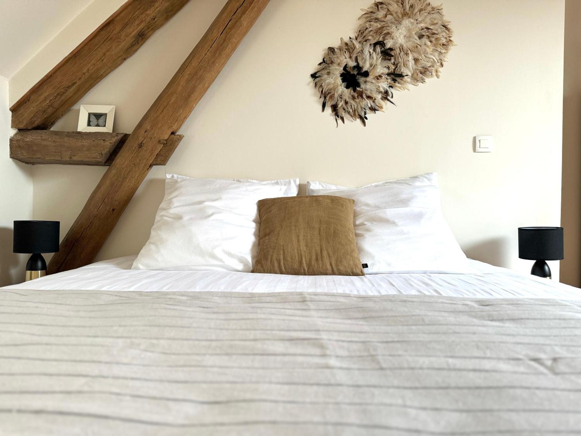 Bed and Breakfast Le Moulin D Olivet Orbigny Exterior foto