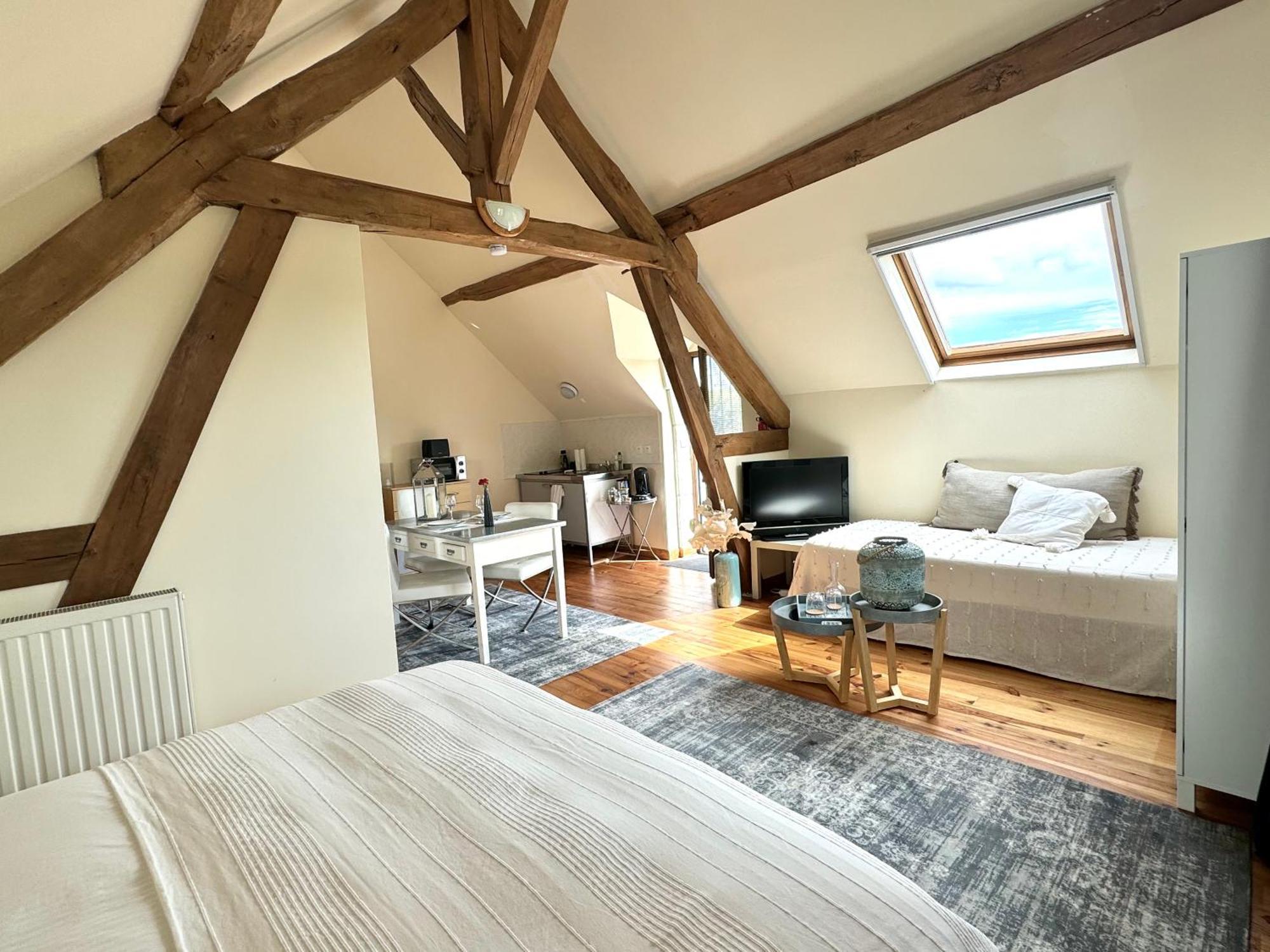 Bed and Breakfast Le Moulin D Olivet Orbigny Exterior foto