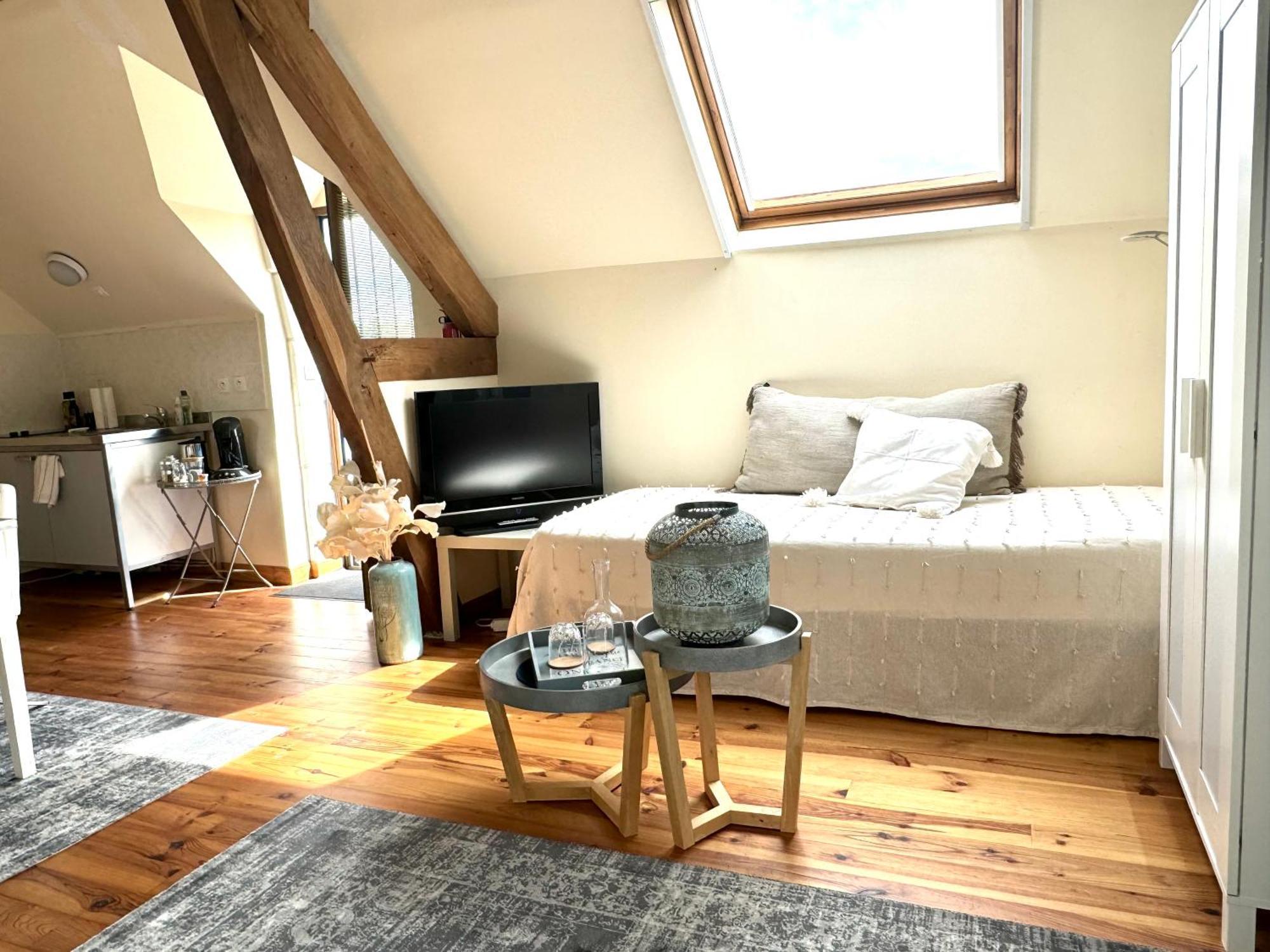 Bed and Breakfast Le Moulin D Olivet Orbigny Exterior foto