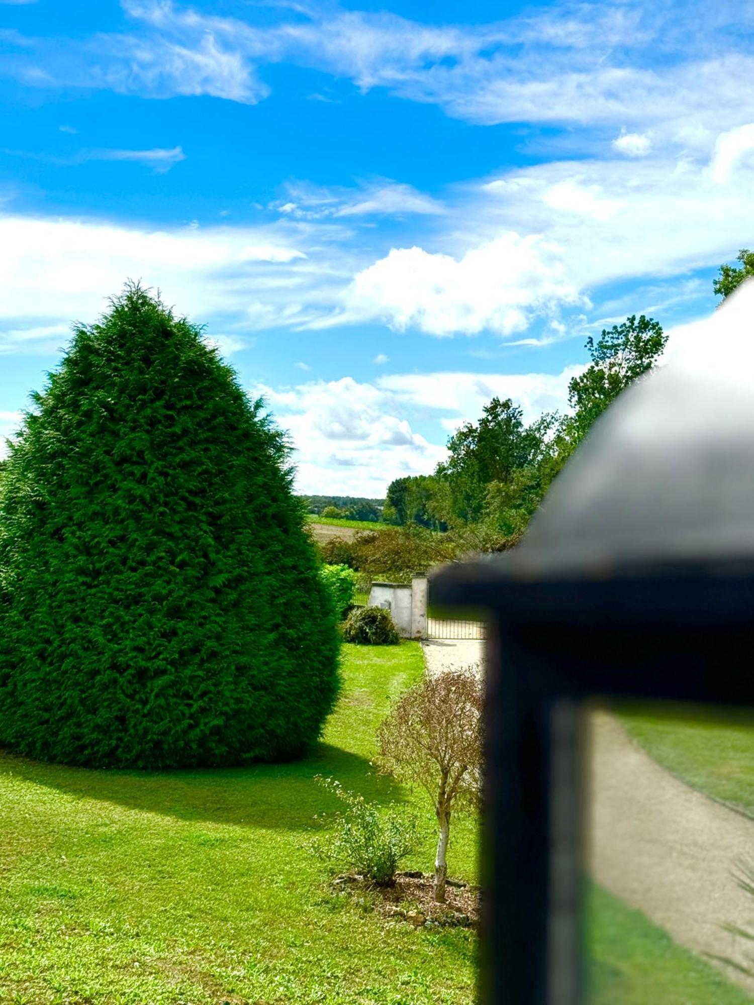 Bed and Breakfast Le Moulin D Olivet Orbigny Exterior foto