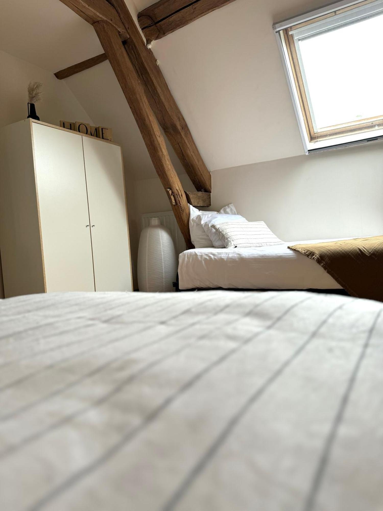 Bed and Breakfast Le Moulin D Olivet Orbigny Exterior foto