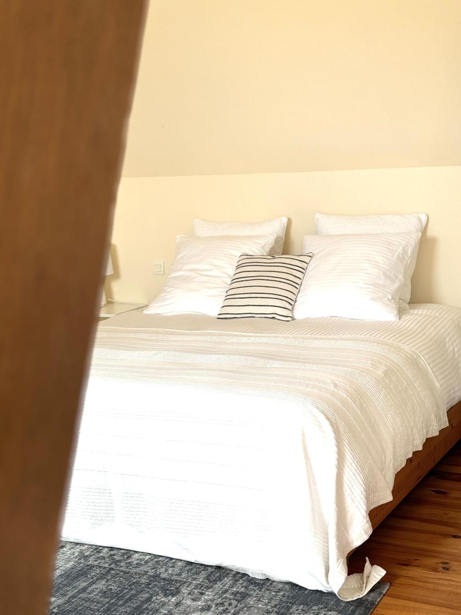 Bed and Breakfast Le Moulin D Olivet Orbigny Exterior foto