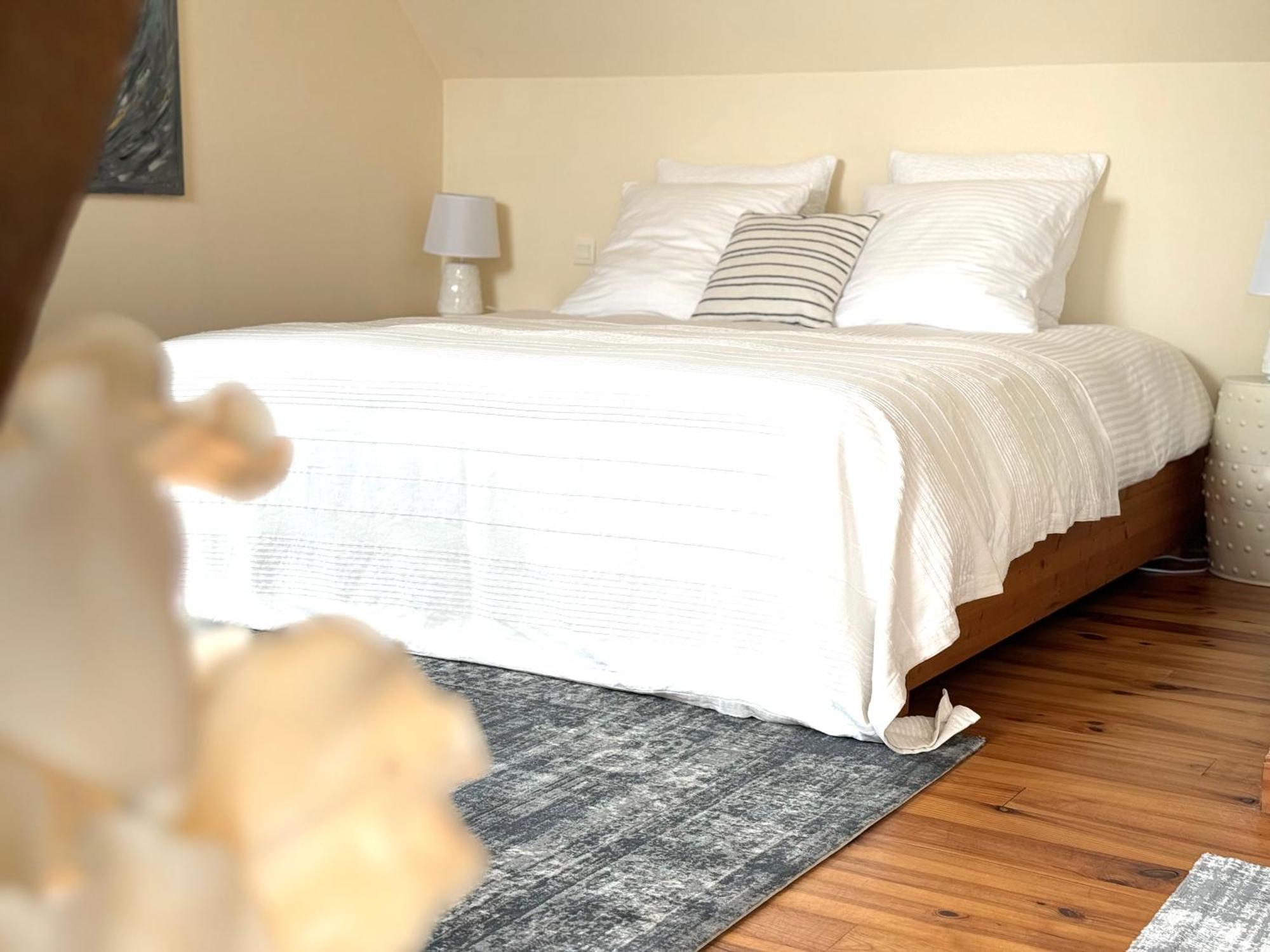 Bed and Breakfast Le Moulin D Olivet Orbigny Exterior foto