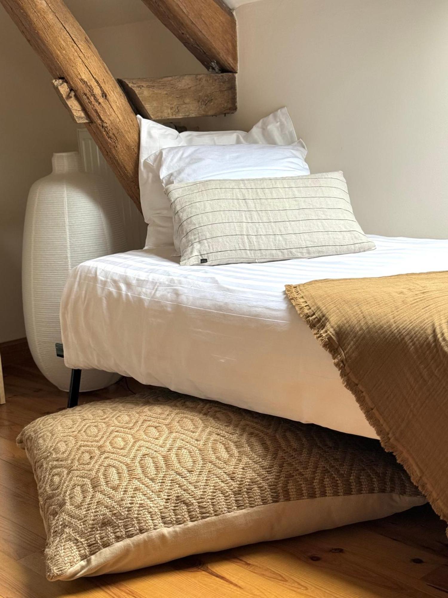 Bed and Breakfast Le Moulin D Olivet Orbigny Exterior foto