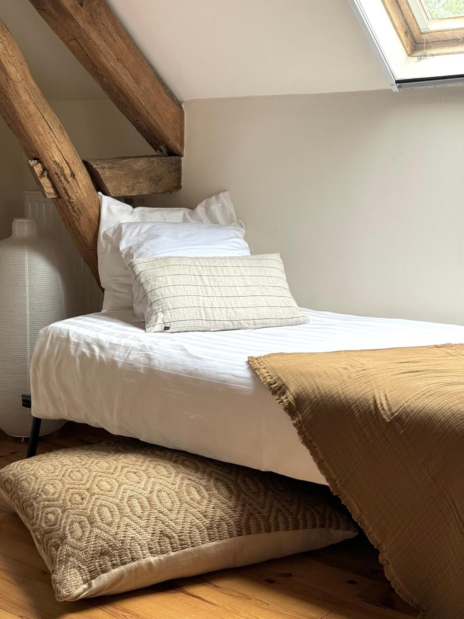 Bed and Breakfast Le Moulin D Olivet Orbigny Exterior foto