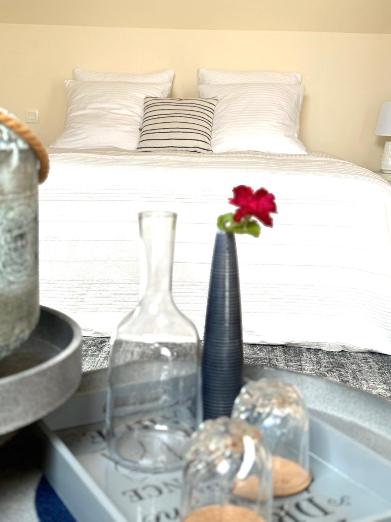 Bed and Breakfast Le Moulin D Olivet Orbigny Exterior foto