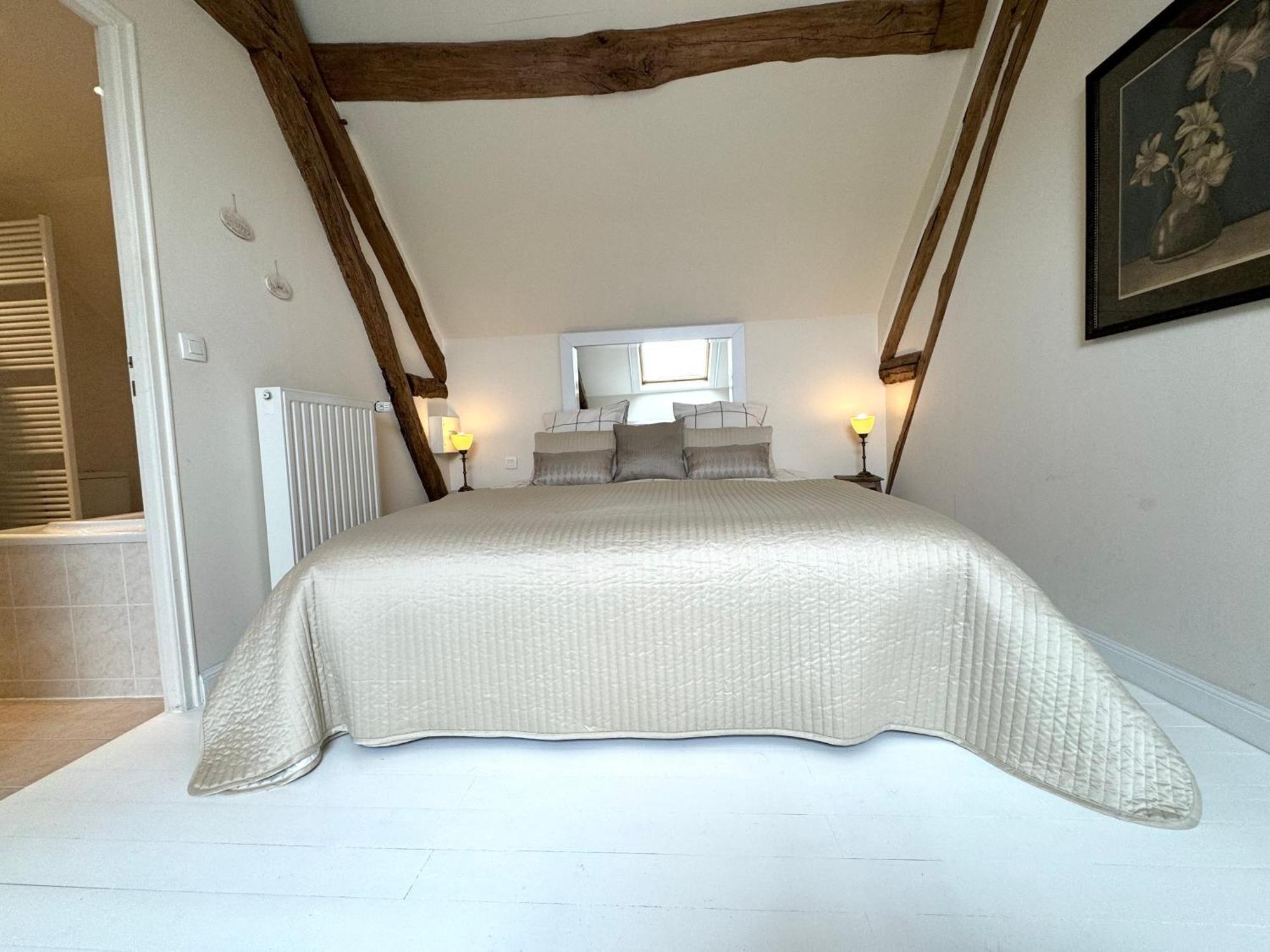 Bed and Breakfast Le Moulin D Olivet Orbigny Exterior foto