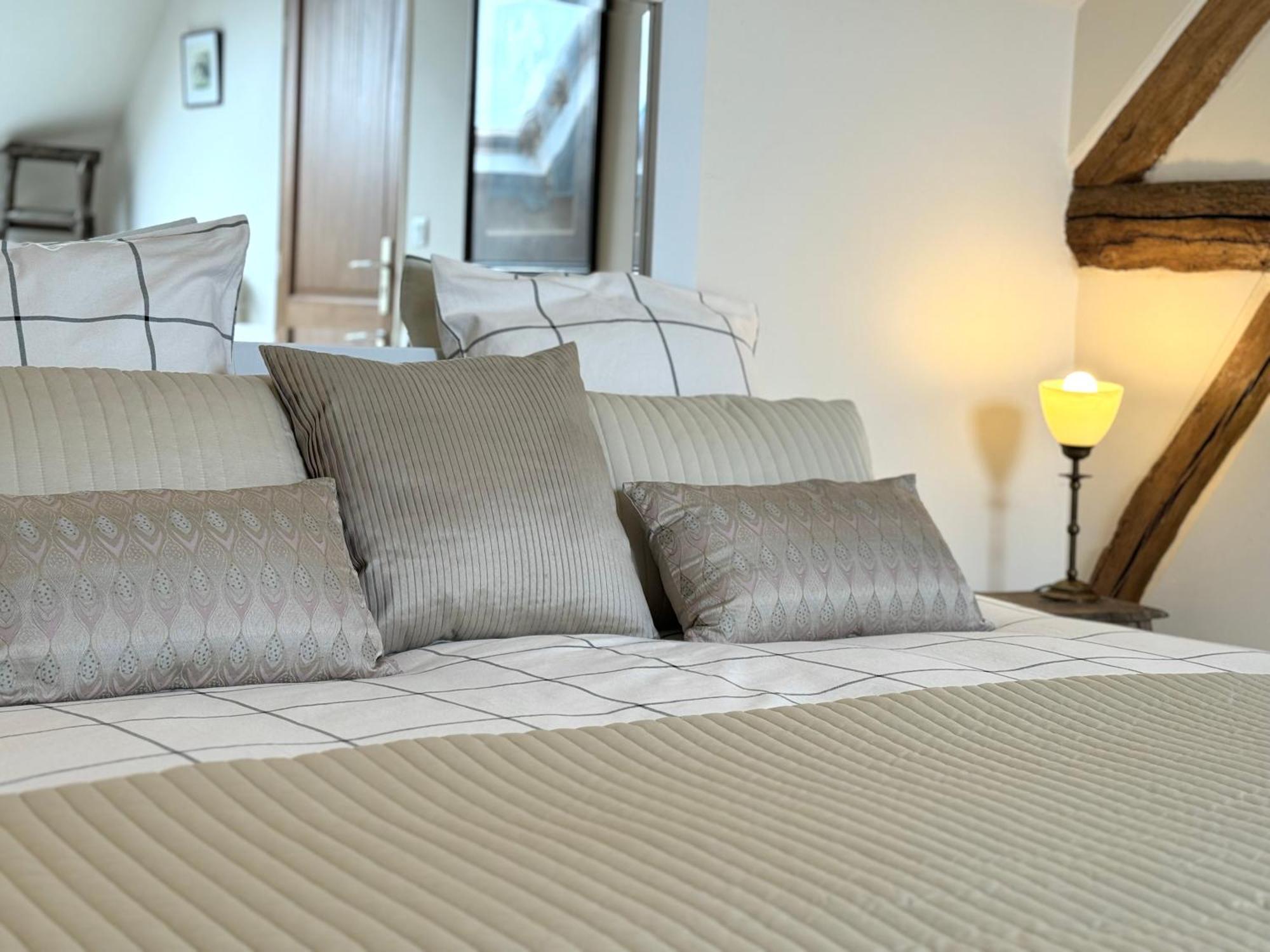 Bed and Breakfast Le Moulin D Olivet Orbigny Exterior foto