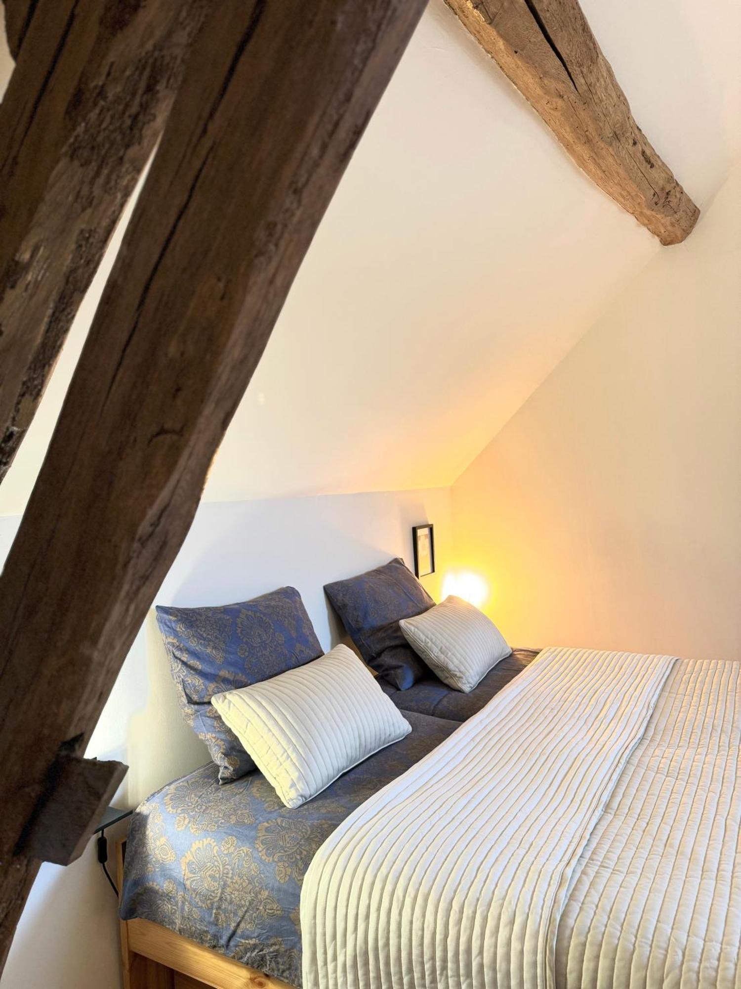Bed and Breakfast Le Moulin D Olivet Orbigny Exterior foto