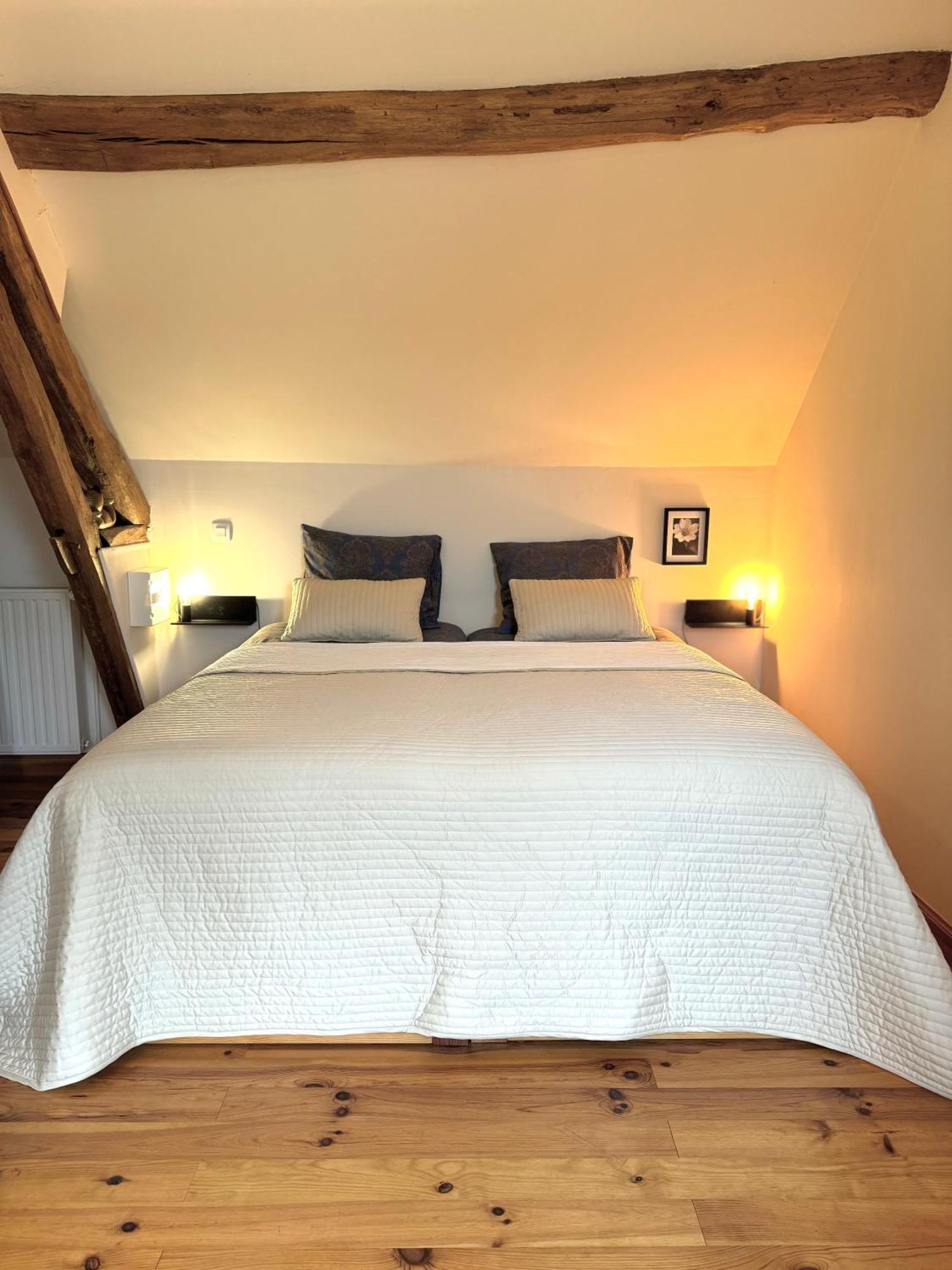 Bed and Breakfast Le Moulin D Olivet Orbigny Exterior foto